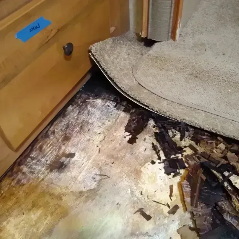 Best Wood Floor Water Damage Service in Harleigh, PA